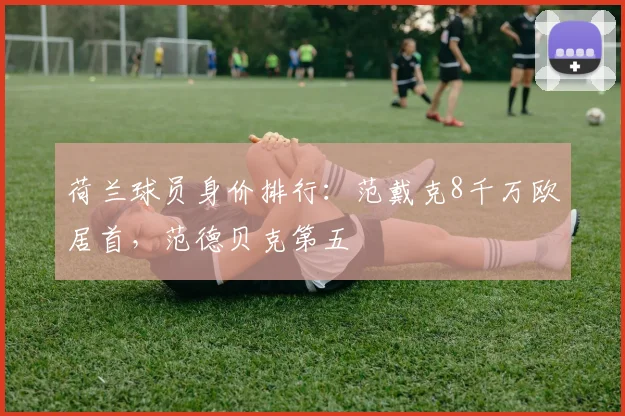 荷兰球员身价排行：范戴克8千万欧居首，范德贝克第五