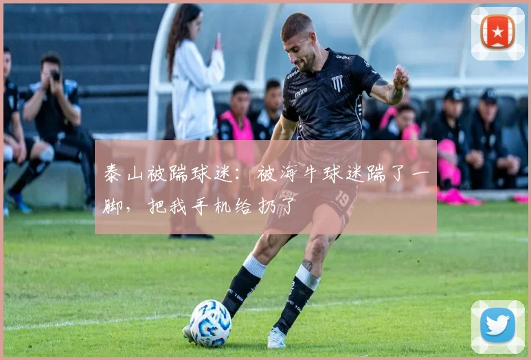 泰山被踹球迷：被海牛球迷踹了一脚，把我手机给扔了