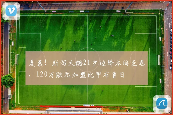 羡慕！新泻天鹅21岁边锋本间至恩，120万欧元加盟比甲布鲁日