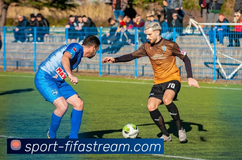 世界杯直播网站平台生态图